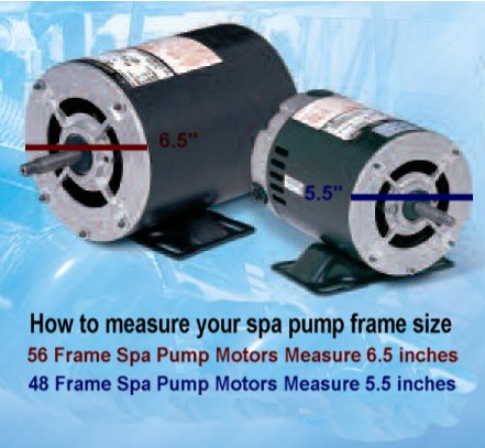 Spa Motor