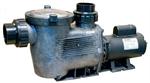 Waterco HydroStar Plus Self Priming Commercial Pump, 4hp